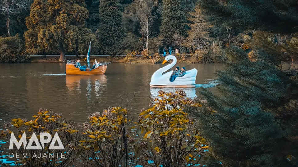 Pedalinhos em formato de cisne e barco navegando pelo Lago Negro, cercado por árvores e vegetação em tons de outono, em Gramado.