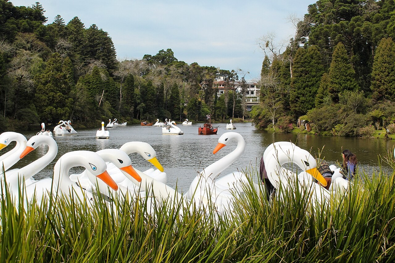 Lago Negro em Gramado com pedalinhos e árvores ao redor.